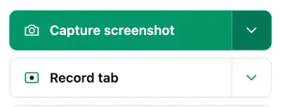 The panel's capture buttons - Take now, Record Tab Video and Record Screen - with the response-bodies switch under them