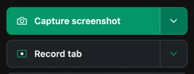 The panel's capture buttons - Take now, Record Tab Video and Record Screen - with the response-bodies switch under them